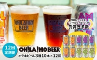 【12回定期便】オラホビール3種飲み比べ10本セット