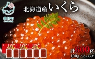 【小分けで便利！】北海道産いくら 600g（100g×6パック）しょうゆ漬け 丸鮮道場水産 小分け 食べきり 食べ切り