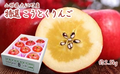 11～12月 特選こうとくりんご約2.5kg 【大江町産・山形りんご・大地農産・11月・12月】