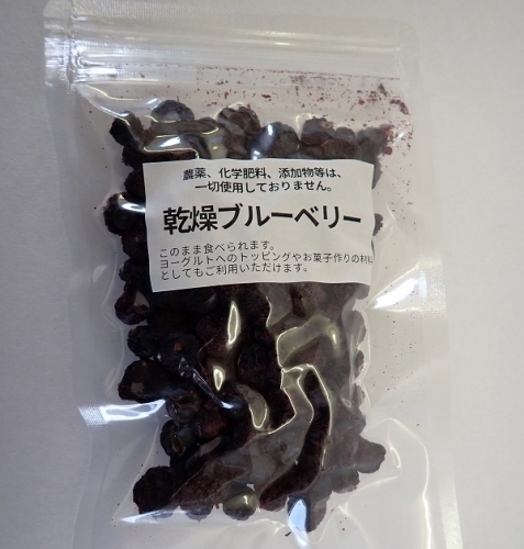 自然栽培ブルーベリーの乾燥ブルーベリー（無添加）50g×5袋[B2-13502] 1100404 - 秋田県湯沢市