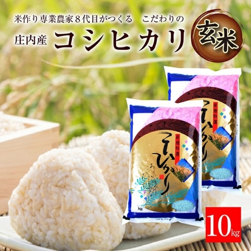 SA1722　令和5年産【玄米】特別栽培米 コシヒカリ　10kg(5kg×2袋)「農家直送」 KA