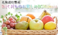 ＜2023年9月配送限定＞果樹園採れたての「9月 くだものお楽しみBOX(2種以上)」　