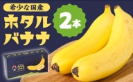 【とても希少な国産バナナをあなたへ！】hotaru バナナ 2本 / ばなな 果物 フルーツ / 南島原市 / hotaru [SFA001]