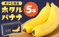 【とても希少な国産バナナをあなたへ！】hotaru バナナ 5本 / ばなな 果物 フルーツ / 南島原市 / hotaru [SFA002]