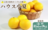 ハウス小夏 2.5kg(家庭用) - ミカン みかん 蜜柑 柑橘 果物 フルーツ こなつ のし対応可 熨斗 国産 kd-0012