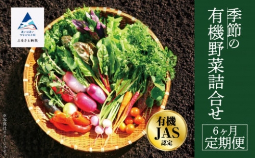 【有機JAS認定サラダ野菜】西田農園　季節の野菜詰合せ　6ヶ月定期便  060011 1101215 - 石川県小松市