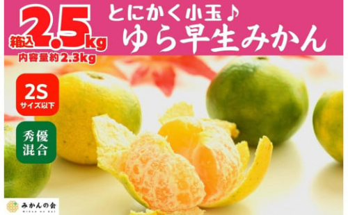 ゆら早生 みかん 小玉ちゃん 箱込2.5kg(内容量 2.3kg) 2Sサイズ以下 秀優混合 有田みかん 和歌山県産 【みかんの会】 1101238 - 和歌山県有田川町