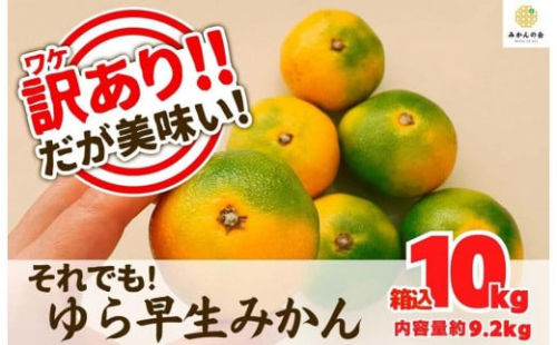 訳あり ゆら早生 みかん 箱込10kg(内容量 9.2kg)サイズミックス 有田みかん 和歌山県産 【みかんの会】［2026年10月下旬頃より順次発送予定］ 1101371 - 和歌山県有田川町