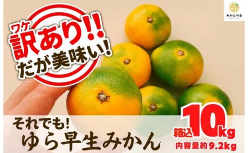 訳あり ゆら早生 みかん 箱込10kg(内容量 9.2kg)サイズミックス 有田みかん 和歌山県産 【みかんの会】 1101371 - 和歌山県有田川町
