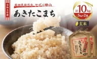 【玄米】秋田県産 あきたこまち 10kg (5kg×2袋) アグリ檜山米 令和5年産