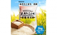 【白米】秋田県産 あきたこまち 5kg 常盤清流米 令和5年産