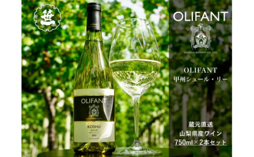 【山梨ワイン】蔵元直送「OLIFANT甲州シュール・リー750ml×2本セット」 1102392 - 山梨県大月市