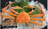 166-2．五輝星（いつきぼし）ボイル松葉ガニ（特々大1.2kg）数量限定品【魚倉】