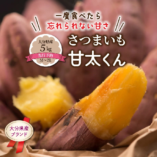 【先行予約】さつまいも 甘太くん 5kg 大分県産 M～2L _2291R 1102600 - 大分県国東市