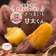 【先行予約】さつまいも 甘太くん 5kg 大分県産 M～2L _2291R