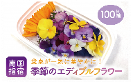 季節のエディブルフラワー(約100輪)(MICHI-FARM/010-1526) 花 食べられる花 食用花 エディブル フラワー 彩り 旬 飾り トッピング