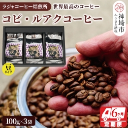 【ふるさと納税】ジャコウネコ珈琲 コピ・ルアク 100g×3袋 合計300g【6回定期便】【最高級豆 幻のコーヒー】(H070108)