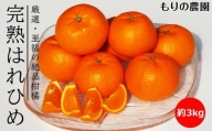 厳選！はれひめ「みかんの甘み」と「オレンジの香り」の新品種！（約3kg）フルーツ お取り寄せ 産地直送