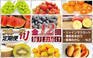 旬のフルーツを毎月お届け！むなかた旬のフルーツ定期便／年12回【JAほたるの里】_KB0139