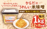 【12回定期便】からだにうれしい 米味噌 1kg（500g×2個）高オレイン酸大豆使用 なるせみそ /角味噌醤油 [UAX012] 味噌 みそ 調味料 大豆