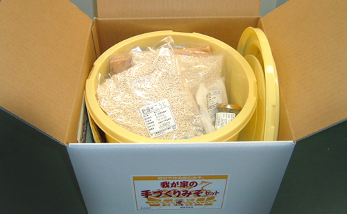 すや亀 手づくりみそセット 約5kg 味噌 手作り セット 110329 - 長野県