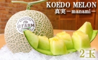 No.1004 【令和6年発送分】KOEDO MELON　真実－manami－　2玉 ／ メロン 青肉 ギフト 埼玉県