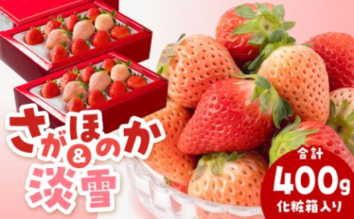 【先行予約 2027年2月～発送】淡雪＆さがほのか 赤白 いちごセット200g × 2パック 合計400g（化粧箱入り）【岸川農園】 いちご 苺 イチゴ さがほのか あわゆき 淡雪 食べ比べ フルーツ 果物 国産 佐賀県産 白石町 [IAP032] 1103474 - 佐賀県白石町