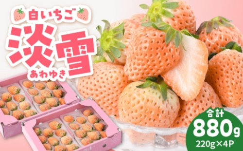 【先行予約 2027年1月～発送】ほんのりピンク 希少 白いちご「淡雪」220g×4パック【岸川農園】 いちご 苺 イチゴ あわゆき 淡雪 しろいちご フルーツ 果物 甘い あまい 産地直送 国産 佐賀県産 白石町 [IAP033] 1103475 - 佐賀県白石町