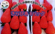 静岡県でしか栽培できない いちご 甘く 大きく 香りが良い「きらぴ香」8パック