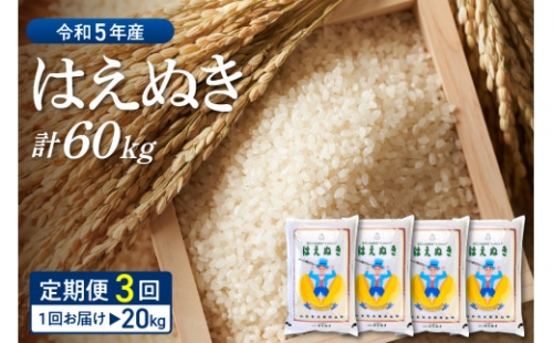 ☆選べる配送時期☆【令和5年産米】はえぬき 60kg定期便（20kg×3回