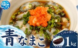 【配送期日】2025年12月20日より順次発送【内容量】約1kg【賞味期限】生ものですのでお早めにお召し上がり下さい。◇ナマコはどんな味がするの？ナマコの味を人に伝えるのはなかなか難しいのですが、貝の
