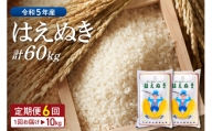 ☆選べる配送時期☆【令和5年産米】はえぬき 60kg定期便（10kg×6回