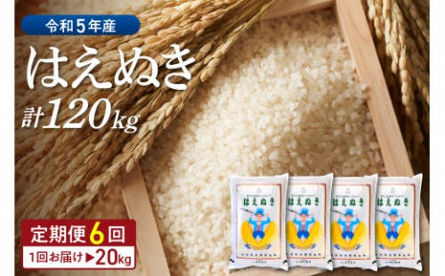 ☆選べる配送時期☆【令和5年産米】はえぬき 120kg定期便（20kg×6回