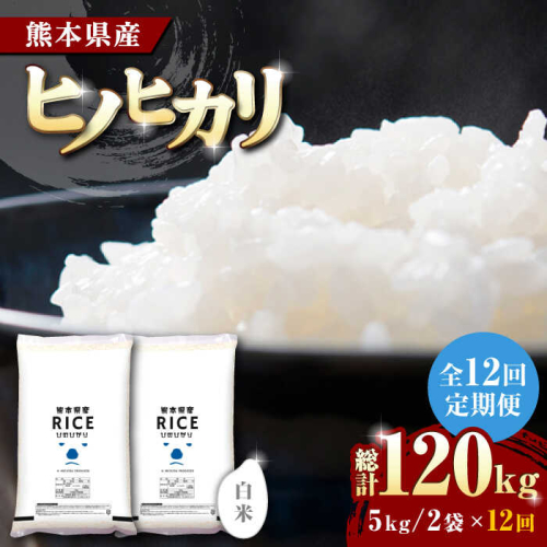 【全12回定期便】   ヒノヒカリ 白米 10kg【株式会社  農産ベストパートナー】 [ZBP079] 1104049 - 熊本県山鹿市