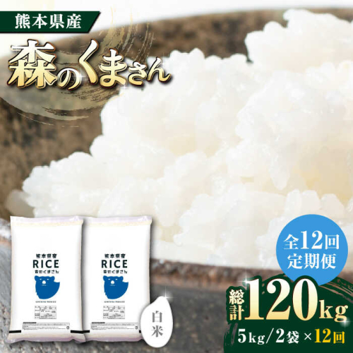 《 新米先行予約 》【全12回定期便】2025年10月より順次発送   森のくまさん 白米 10kg(5kg×2袋)【株式会社  農産ベストパートナー】 [ZBP081] 1104051 - 熊本県山鹿市