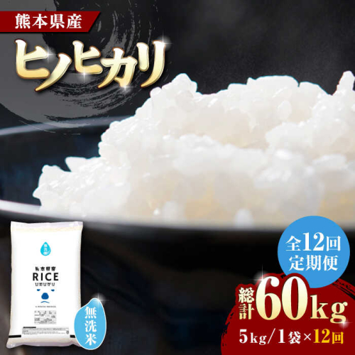 【全12回定期便】   ヒノヒカリ 無洗米 5kg【株式会社  農産ベストパートナー】 [ZBP092] 1104060 - 熊本県山鹿市