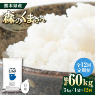 【全12回定期便】   森のくまさん 白米 5kg【株式会社  農産ベストパートナー】 [ZBP094]