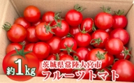 No.782 再エネと次世代農法が育んだ高糖度フルーツトマト約1kg ／ とまと 野菜 甘い 茨城県
