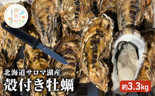 北海道 サロマ湖産 殻付き 牡蠣 約3.3kg かき カキ 海鮮 魚介 国産 貝付き 生食 焼き牡蠣 蒸し牡蠣 冷蔵 産地直送 オホーツク 1104460 - 北海道湧別町