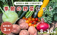 【毎月定期便3回】旬 季節の野菜セット (8~10種)