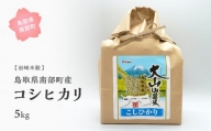 【iw07b】鳥取県南部町産コシヒカリ5kg [令和5年産]＜玄米でお届け＞