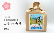 【iw08b】鳥取県南部町産コシヒカリ10kg [令和5年産]＜玄米でお届け＞