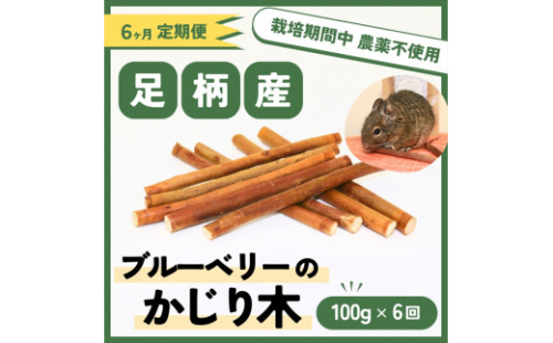 【定期便6ヵ月】足柄産ブルーベリーのかじり木100g×6回＜毎月お届け＞【 ペット 神奈川県 南足柄市 】 1105072 - 神奈川県南足柄市