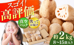 ■真空パック入りだから鮮度そのまま！洗いれんこん収穫後すぐに真空パックした、新鮮なれんこんをご家庭にお届けします！洗ってあるので泥を落とす手間いらずで、使いやすさも抜群です。しっかりと洗えば皮つきでも