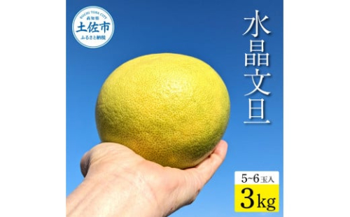 土佐市産 水晶文旦 約3kg (5～6玉）文旦 ぶんたん ブンタン すいしょうぶんたん ハウス栽培 甘い 高級 果物 柑橘 フルーツ 果物 ご当地 お取り寄せ ３キロ 贈答 ギフト 1105436 - 高知県土佐市