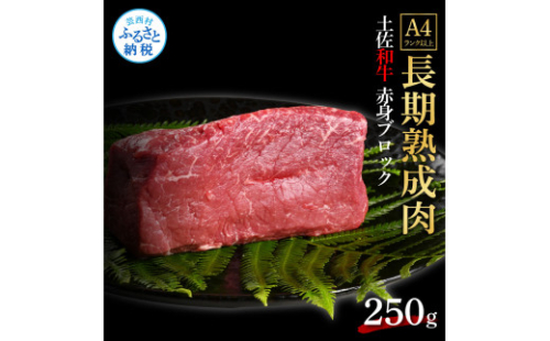 TKA228　天下味 エイジング工法 熟成肉 土佐和牛 特選 赤身ブロック 250g エイジングビーフ 国産 牛肉 土佐 和牛 冷凍配送 真空パック お祝い 高知 芸西村 贈り物 贈答 ギフト 1105438 - 高知県芸西村