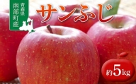 青森県 南部町産 りんご サンふじ 約5kg 【盛果園】 青森りんご リンゴ 林檎 アップル あおもり 青森 南部町 果物 くだもの フルーツ F21U-365