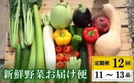 [早期予約] 定期便 全 12回 12ヶ月 季節 旬の 野菜 11 〜 13品 プレミアム 詰め合わせ セット 小松菜 大根 だいこん トマト パプリカ ピーマン にんじん 人参 かぼちゃ きゅうり ししとう なす みょうが 頒布会 年末年始限定 早期予約 期間限定 高知県 須崎市