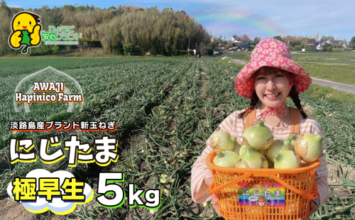 淡路島産ブランド新玉ねぎ 極早生 「にじたま」  5kgダンボール入り【発送時期2026年2月中旬～4月頃】 1105577 - 兵庫県淡路市