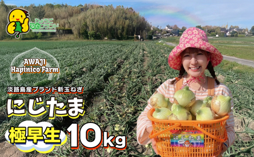 淡路島産ブランド新玉ねぎ 極早生 「にじたま」  10kgダンボール入り【発送時期2026年2月中旬～4月頃】 1105579 - 兵庫県淡路市